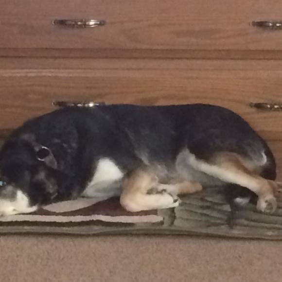 Meet your Posher, Patty - Picture 1 of 1